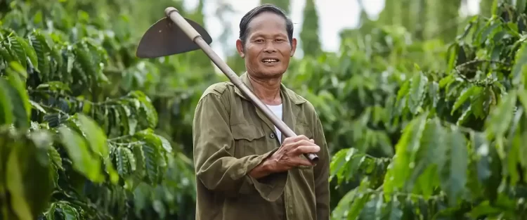 Sữa bột Nestlé và cam kết canh tác tái sinh: Bước tiến mới trong quy trình sản xuất sữa sạch bền vững